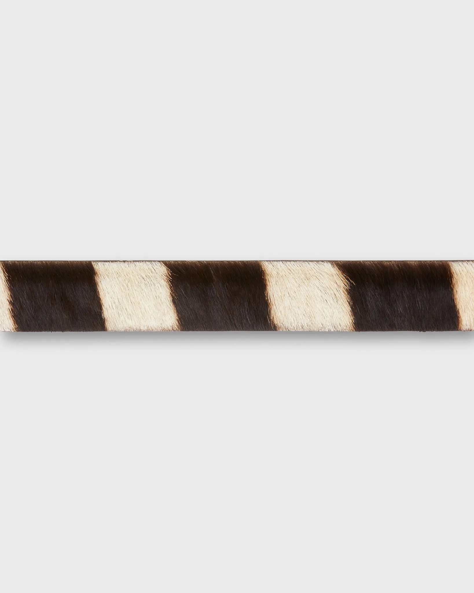 1.25" Belt in Zebra Hide